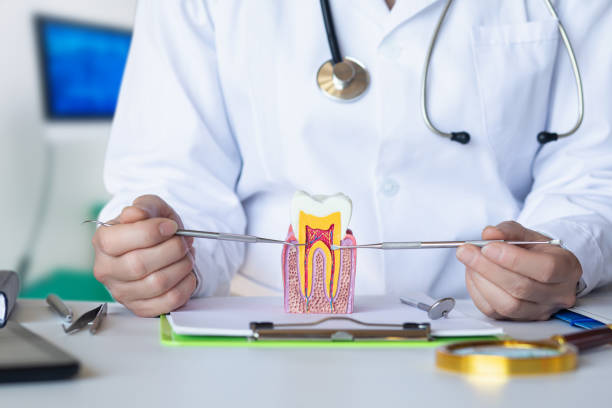 Best Chipped Tooth Repair Near Me  in Woodward, OK